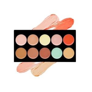 Professional 10 Color face concealer palette (1 Pcs)