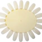 Nail plate for your practice (Pack of 1).