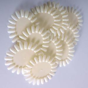 Nail plate for your practice (Pack of 1).