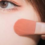 Makeup brush (Pack of 8)