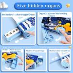 Multi-Functional Pencil Box For Kids, Space Pencil Box For Boys & Girls, Magnetic Pencil Box (Pack of 1).