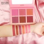6 COLOR TOUCH BLUSH PALETTE 1 Pcs