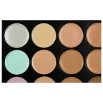 15 Color Concealer Palette Concealer  (multicolor, 18 g)