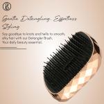 Detangling Hair Comb Brush, Detangler Hair Brush Use in Wet and Dry Hair (Pack of 1).