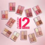 Blusher with Highlighter 12g (Multicolour) 1 Pcs