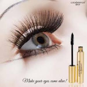 Ultra Black Long Wear Non Transfer Liquid Pen Eyeliner (Pack of 1)