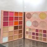 All in one eyeshadow plattee makeup platte highlighter blusher contour (pack of 1)