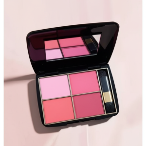 4 color high quality Fashion Makeup Steel Blusher Palette kit