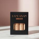 4 in 1 Makeup Concealer Beige Colors (Pack of 1).