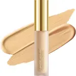 High Coverage Liquid Concealers (Pack of 1).