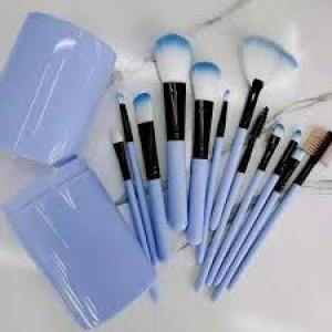 12pcs Professional Make Up Brush for Foundation Blush, Portable Storage Box, Best Gift Kit (Blue)