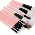 Pink Blush Theory Makeup Brushes Set OF 12  (Pack of 1)