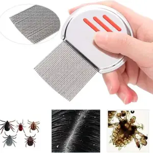 Lice Comb Hair Comb Brush (Pack of 1).