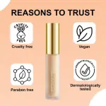 High Coverage Liquid Concealers (Pack of 1).