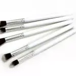 Beauty Professional Makeup Brushes (Black,White ) 5 Pcs