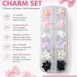 12 Grid Nail Art Decoration Box – 3D Bow Design (1 Set).