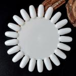 10 Palettes Display Board for Nail Art Design Pattern Practice and Swatch Nail Polish Color(White).