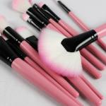 24Pcs Edition Makeup Brush Set , Wooden Handle with Leather Case  (Pack of 24).Pink