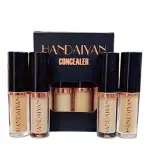 4 in 1 Concealer Beige
