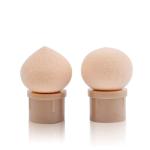 Nail Sponges for Ombre, Nail Art Sponge Gradient Ombre Nail Pen Brush with 4 ( 1 Piece)