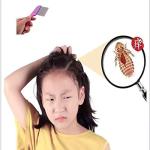 Long Handle Lice Comb with Stainless steel teeth for Head Lice, For Kids, Women & Men and Dog & Cat( 1 Piece).