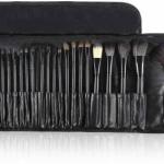 24 Piece Makeup Brush Set with PU Leather Case (Black)