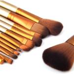 Makeup Brush Set, 12 Pieces with Storage Box