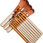 Makeup Brush Set, 12 Pieces with Storage Box