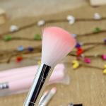 Mini 5 In 1 Makeup Mini Brushes Set for Women's & Girls (Pink).