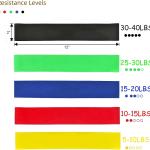 Resistance Loop Exercise Bands, Fitness Training Home Gym, Unisex Fitness Band  (Multicolor, Pack of 1)