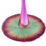 Blush brush,  cleaning tools, make-up brushes, nail brushes, for Professional for Home 1 Pcs