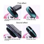3D CAT EYES NAIL ART MAGNET TOOL SET WITH DOUBLE HEAD FLOWER DESIGN NAIL MAGNET PENS  (PACK OF 2)