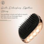 Detangling Hair Comb Brush, Detangler Hair Brush for Women Men & Kids Use in Wet and Dry Hair (Pack of 1).
