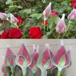 100pcs Makeup Brushes Cover Makeup Brushes Pen Guard Protector Set Makeup Brushes (1 pcs).