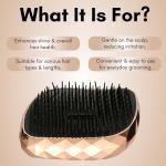 Detangling Hair Comb Brush, Detangler Hair Brush for Women Men & Kids Use in Wet and Dry Hair (Pack of 1).
