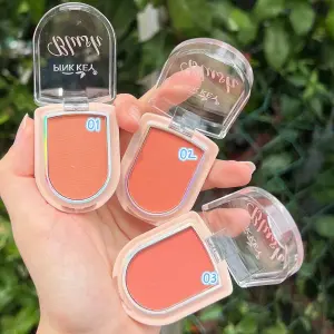 Color Blusher long-lasting Makeup Blusher (Pack of 1) Multicolor.