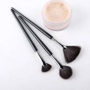 Soft Bristles Fan Brush & Eyeliner Makeup Brush Combo (Pack of 1)