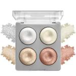 Professional 4 IN 1 BLUSHER & HIGHLIGHTER.