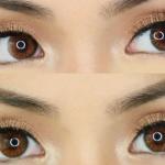 EYELASH  5D MINK HAIR ( Pack of 1)