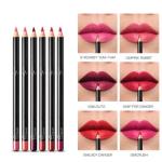 Ocean Beauty Lipliner different 12 shades  (Multicolor)