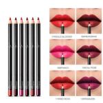 Ocean Beauty Lipliner different 12 shades  (Multicolor)