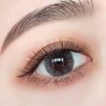 Professional Premium Collection False Eyelashes, Natural & soft 100%( Pack of 1).