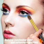 60-Shade eyeshadow Light Shadow Blusher (Pack of 1).