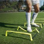 Speed Agility Ladder, Fixed Foldable Fitness Training Ladder(Pack of 1 ) Multicolor.
