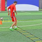 Speed Agility Ladder, Fixed Foldable Fitness Training Ladder(Pack of 1 ) Multicolor.