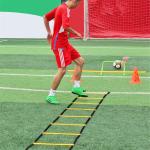 Speed Agility Ladder, Fixed Foldable Fitness Training Ladder(Pack of 1 ) Multicolor.