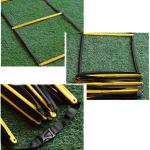 Speed Agility Ladder, Fixed Foldable Fitness Training Ladder(Pack of 1 ) Multicolor.