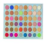60-Shade eyeshadow Light Shadow Blusher (Pack of 1).