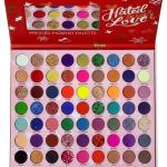 Red Palette 63 Multicolor Eyeshadow (Pack of 1).