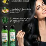 Professional Natural Fruit Hair Color Gel, (Natural Black Hair Colour), with Fruit Extracts, 100ml x 2.